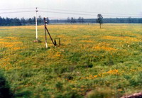 Trans-siberian Railway 1985